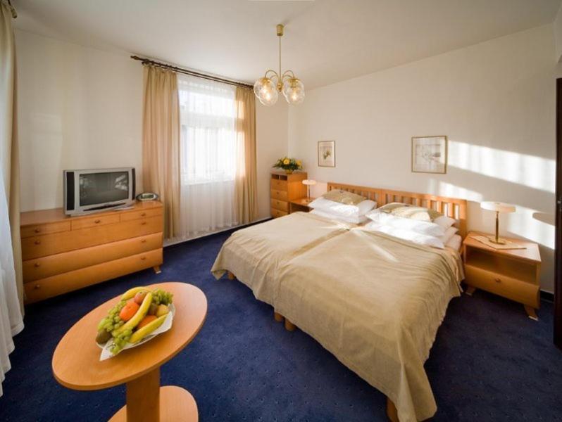 Monti Spa Františkovy Lázně 部屋 写真