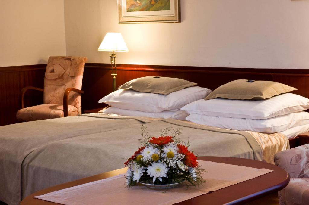 Monti Spa Františkovy Lázně 部屋 写真