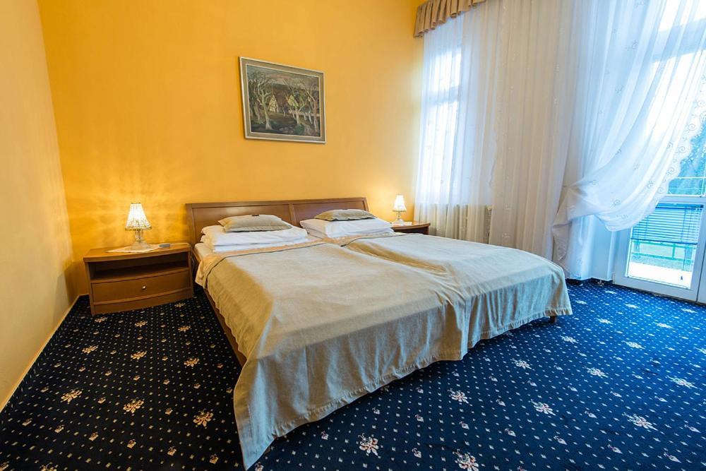 Monti Spa Františkovy Lázně 部屋 写真