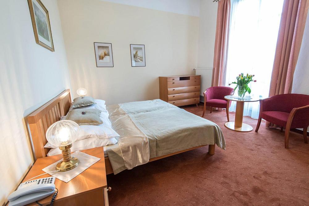 Monti Spa Františkovy Lázně 部屋 写真